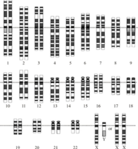 le séquençage complet de l'ADN du génome humain