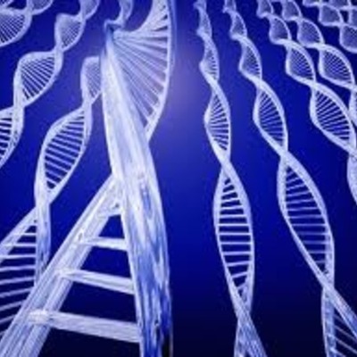 Timeline: Forensic Science