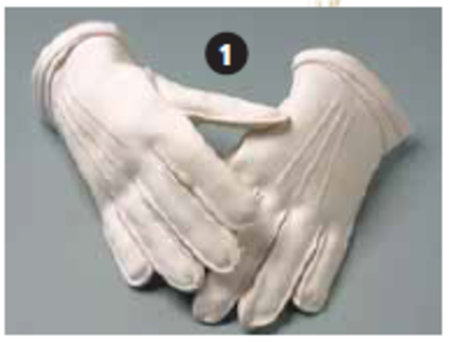 Faith Bandler's White Gloves  (Referendum)