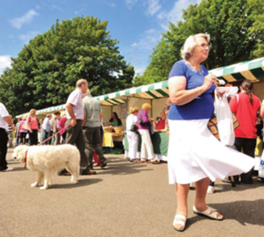 Cardigan River and Food Festival