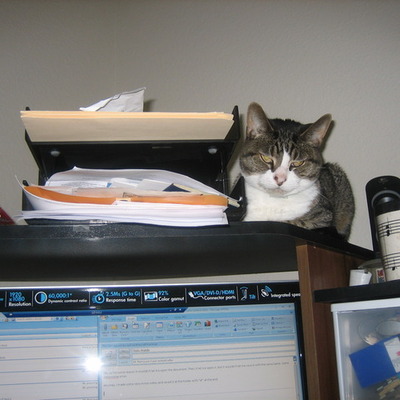 Timeline: Cedar Bayou Watershed Protection Plan