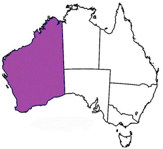 established in western australia