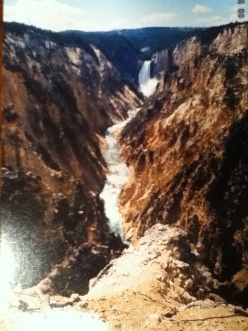 Day 7: Visited the Grandcanyon of the Yellowstone