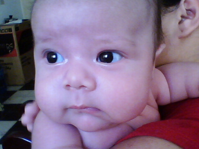 MI GORDO SERGIO ANDRES