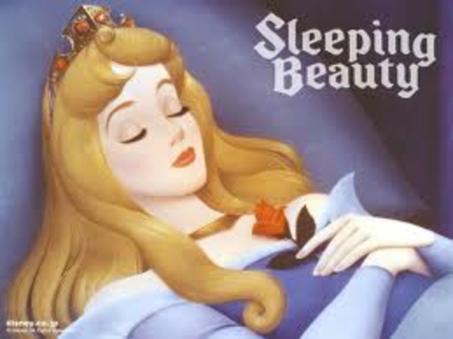 Sleeping Beauty Princess Aurora