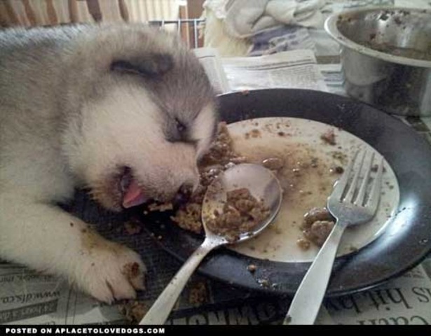 UGH! I ate too much