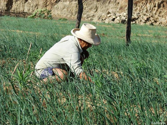 1958 SON  EXPROPIADAS LAS TIERRAS