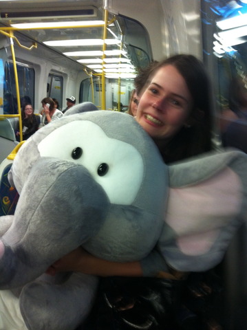 Royal Melbourne Show