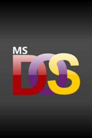 MS-DOS,