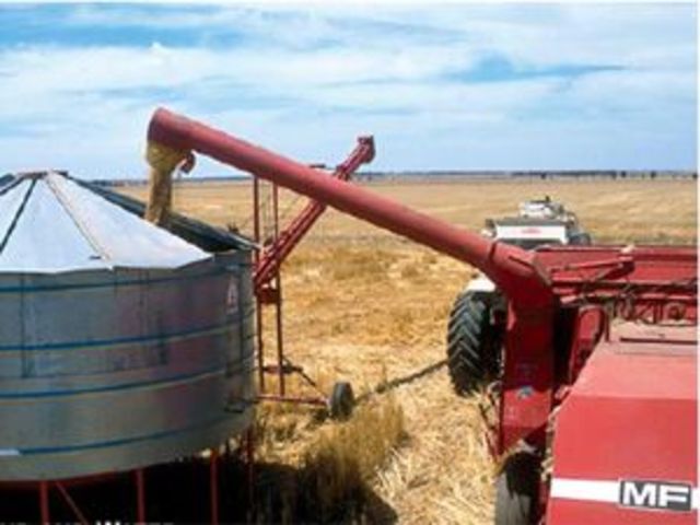 Trying to send the grain over to Toowomba