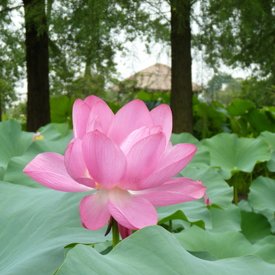 Timeline: Bill's timeline