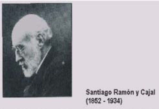 Don Santiago Ramón y Cajal (1852 - 1934)