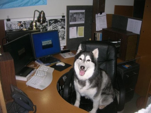 Abbie's 1st day @ BSSP