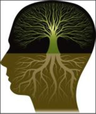 Why the knowledge is important /  Playing with fire at back hill