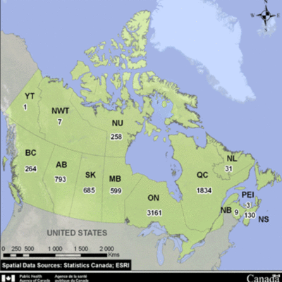 Timeline: Comparative Timeline