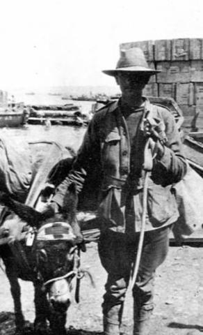 the day he got his donkey