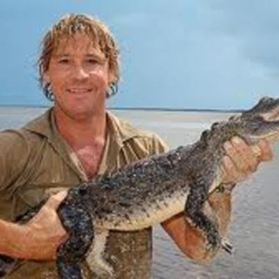 Timeline: Steve Irwin