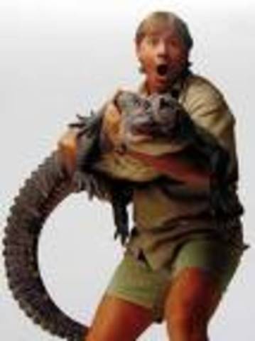 "The Crocodile Hunter" hits the air