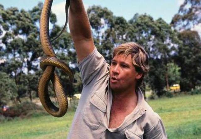 "The Ten Deadliest Snakes in the World"