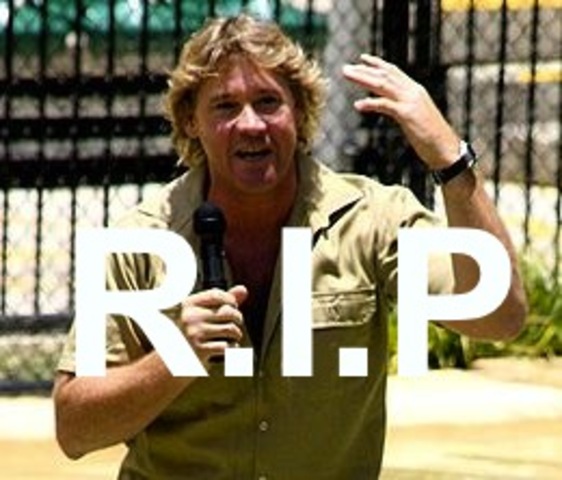Steve Irwin dies from a stingray