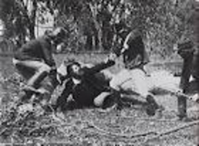 The Stringy Bark Creek Incident