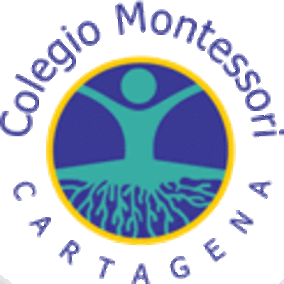 Timeline: Rutina del circulo