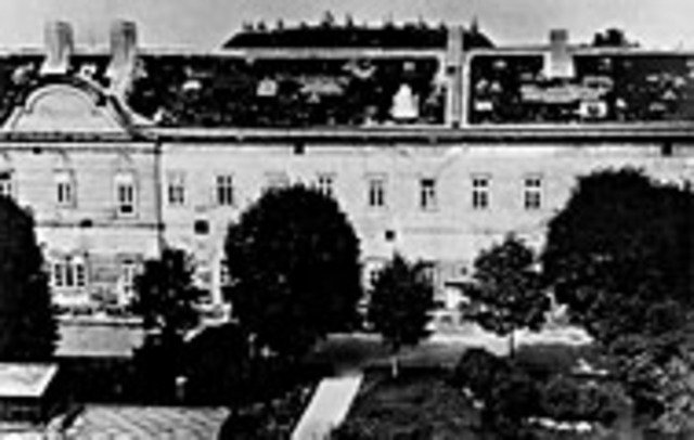 Freud is employed as doctor at Theodor Meynert's Psychiatric Clinic.