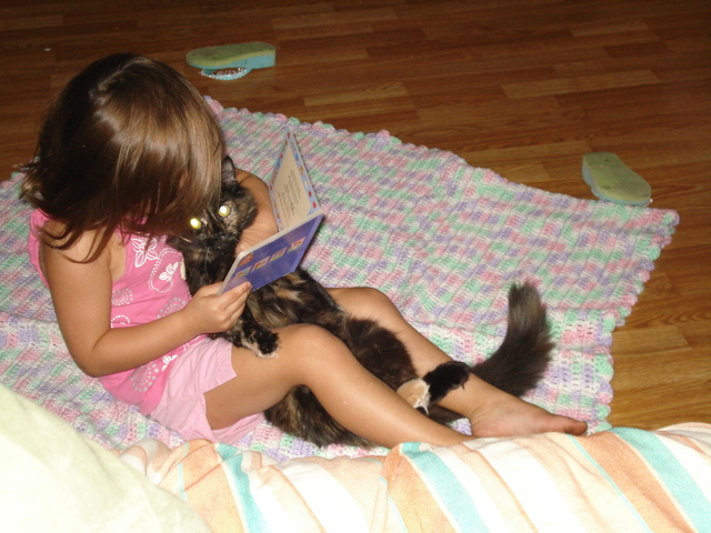 i got my kitten ally!!