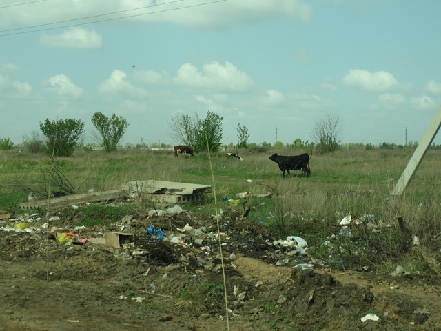 урожай 2001 хлеба нет. все умерли