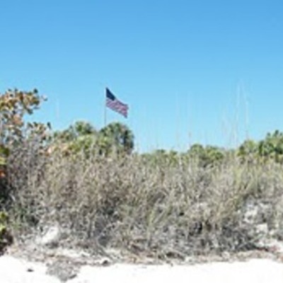 Timeline: Presidential Elections (1981-2009)