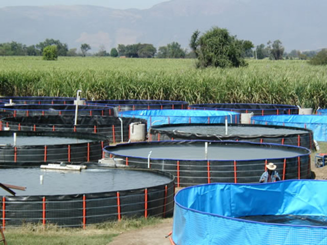 Cambio Climático y Acuicultura