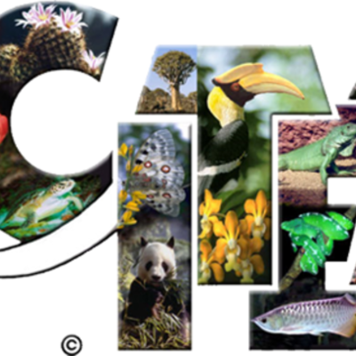 Timeline: Historia del CITES