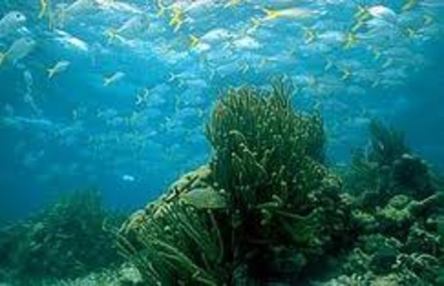 Los Mares debn vivir