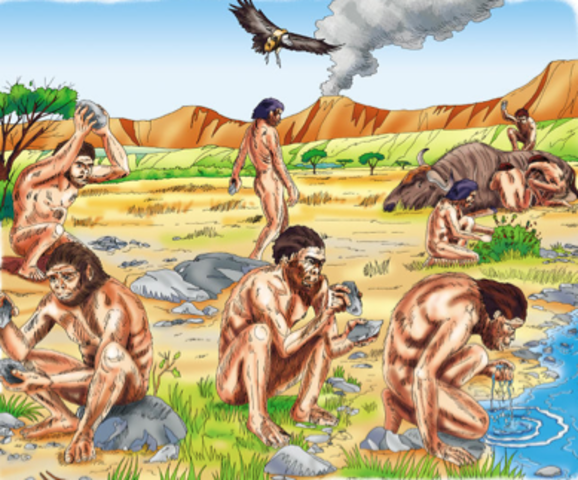 Homo Habilis (hace 2.5 millones de años)