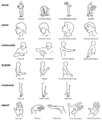 “Principios Ergonómicos en el Diseño de Sistemas de Trabajo (ISO 6385)