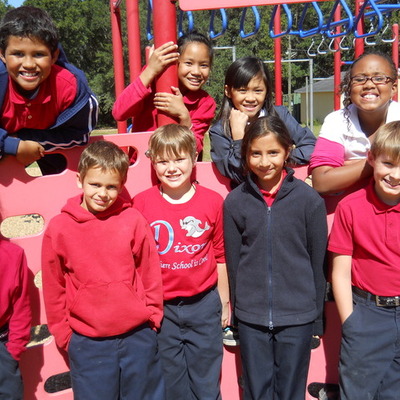 Timeline: Amy's Timeline