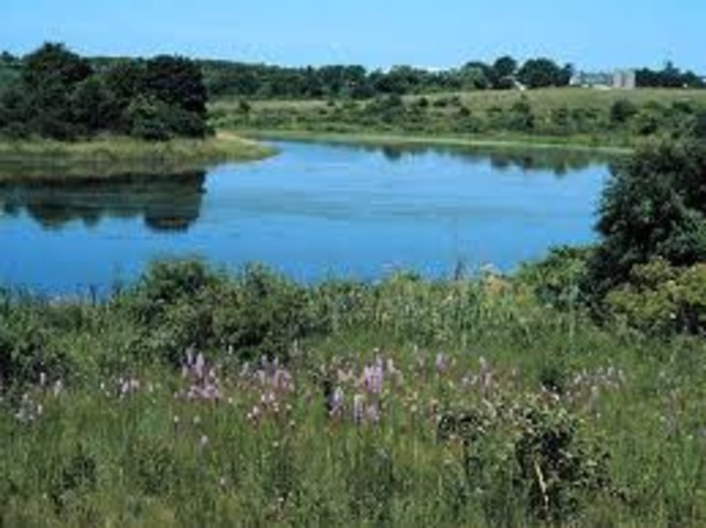 James takes Doodle to Old Woman Swamp