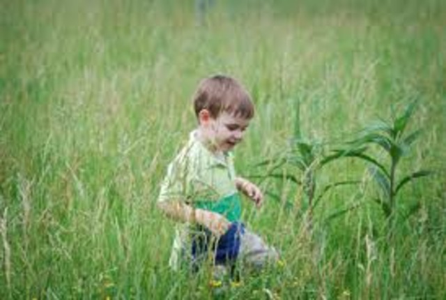 Doodle learns to walk