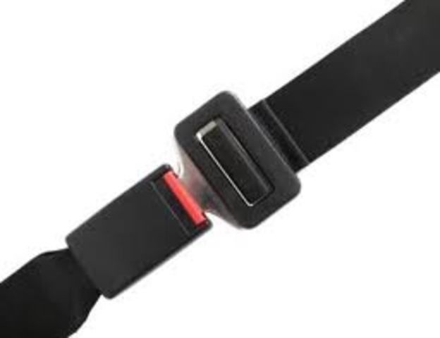 Seatbelt