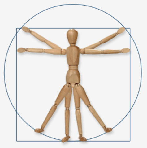 Doctorados en Ergonomía.