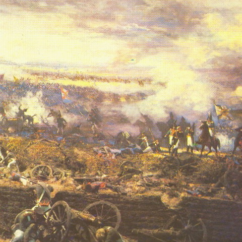 БАГРАТИОНОВЫ ФЛЕШИ