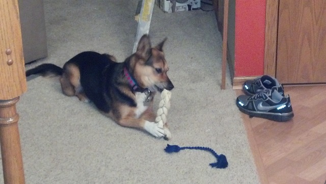 Welcome Home, Charlie!