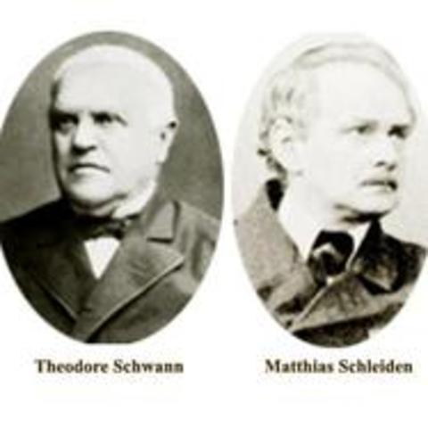 Todos os organismos vivos são constituídos de células.