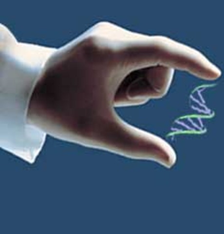 A Biotecnologia de fato, passa a existir