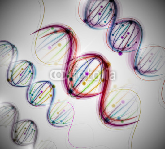 Semelhança entre os DNA's