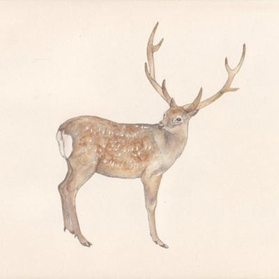 Timeline: Mis logros.