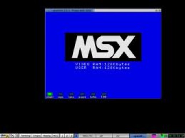 Nascimento da minha primeira filha e o surgimento do MSX.
