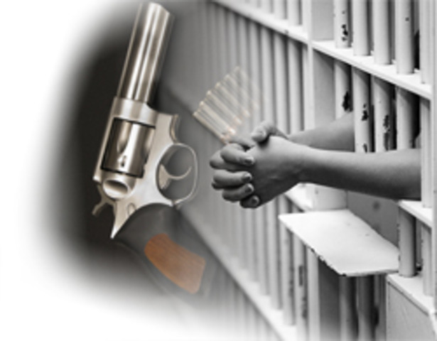 June 4, 1984 Schall v Martin