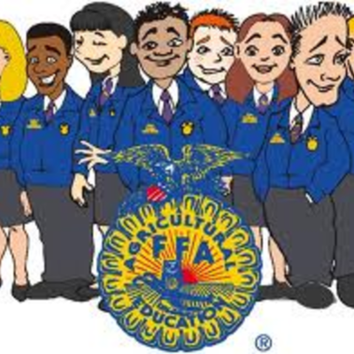 Timeline: FFA important events. elisa sperantzas