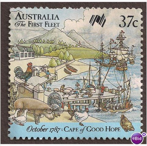 Cape of good hope sighted